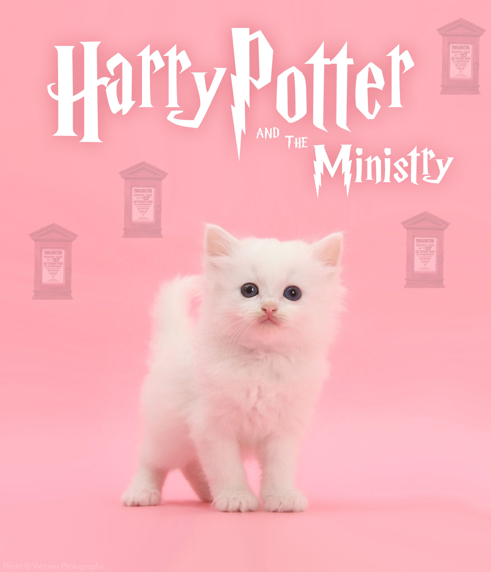 Harry Potter and The Ministry