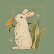 rabbit
