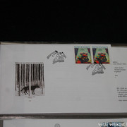 IMG-2799