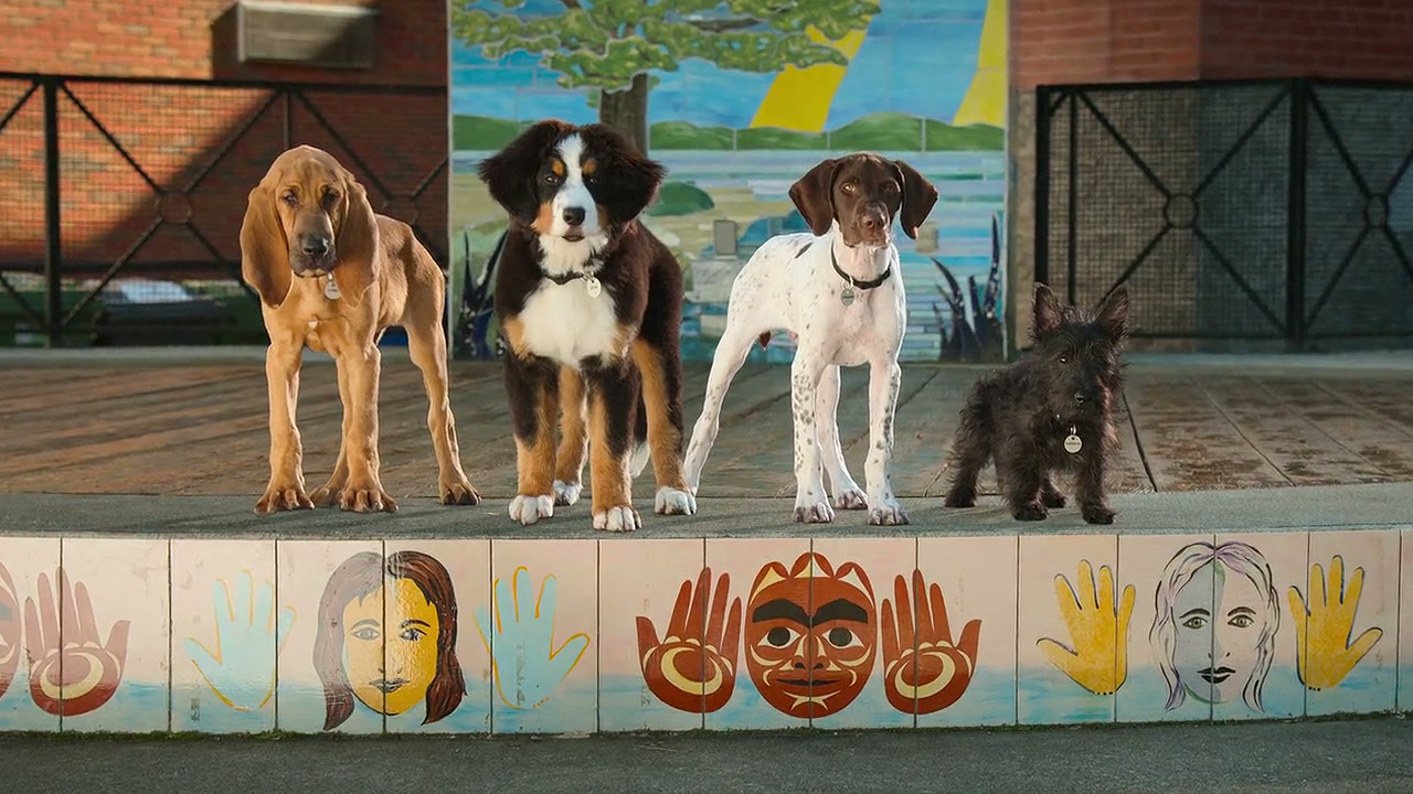 Super PupZ Screenshot