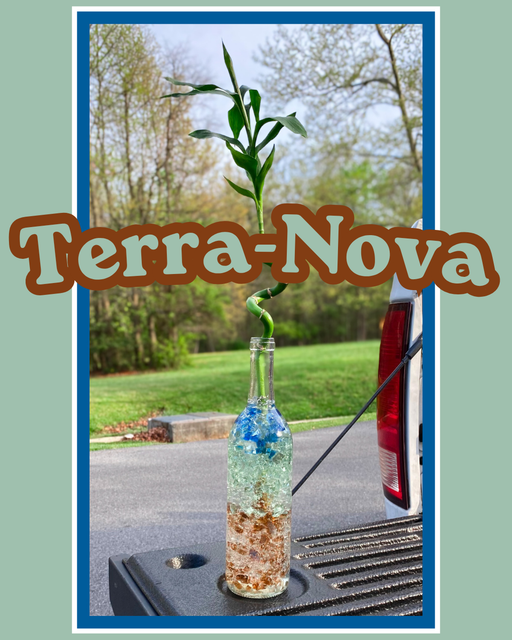 TerraNova Glassy Plant