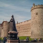L1013646