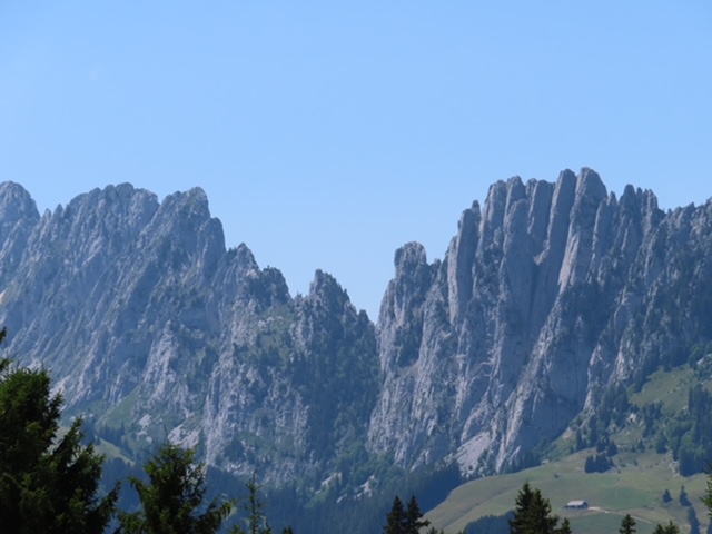IMG 1842.jpg