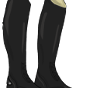 saapas2 2 1