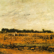 Corn Field