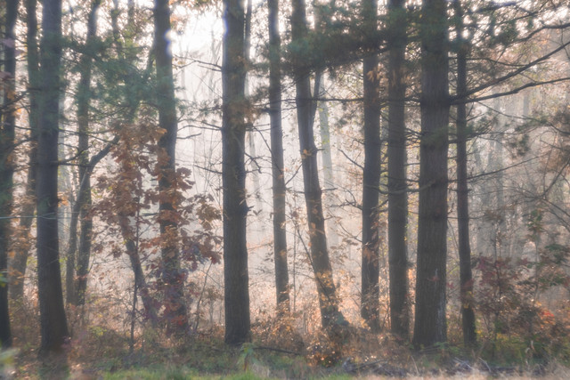 02-autunno