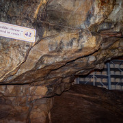 L1013420