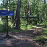 IMG 0337