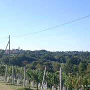 IMG 3707