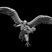 Harpy Attacking