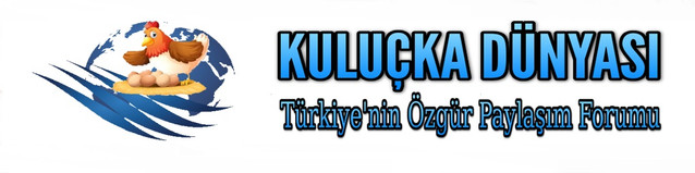 kulucka2