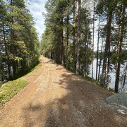 IMG 4580