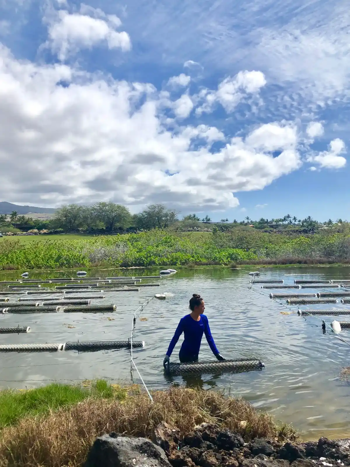 Oysters Fresh from the Pond