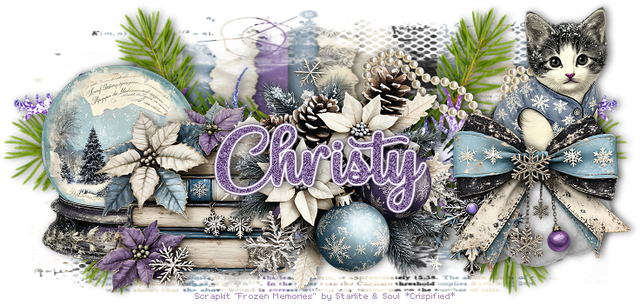 Christy 4972B.png