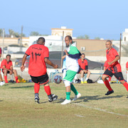 IMG 7405