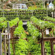 Green View Garden10