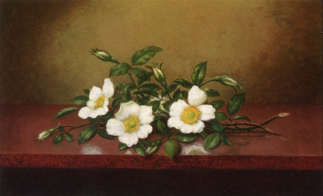 Cherokee-Roses-on-a-Shiney-Table