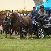 DSC05212