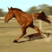 https://i.ibb.co/FLLG51mh/R8Xjx.gif