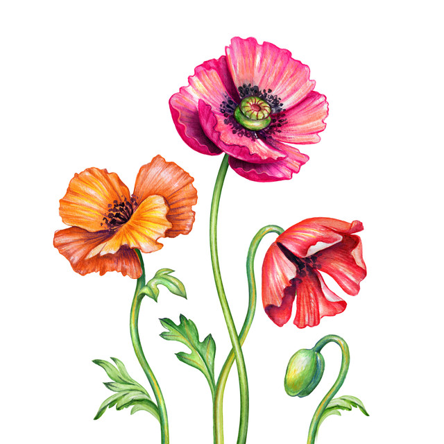 shutterstock-1027730815-1.jpg
