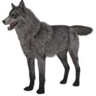 WOLF2 Jetton