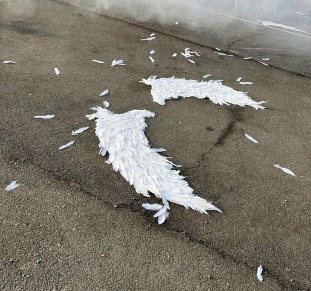 (8).jpg