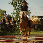 DSC03774