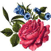 shutterstock 1853765299