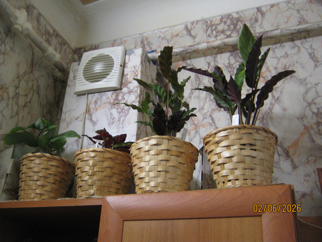 IMG 6416.jpg