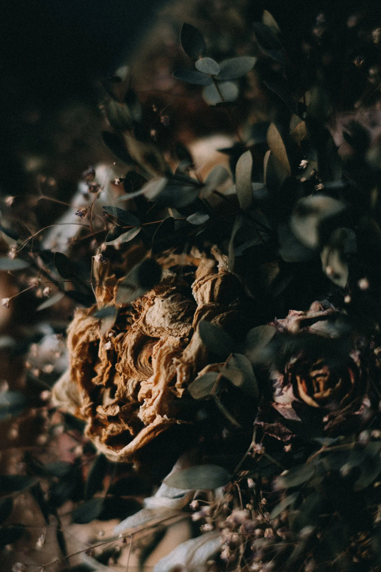 High quality Vintage Dark Botanical wallpaper by Mathias Reding from Pexels