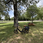 IMG 5641
