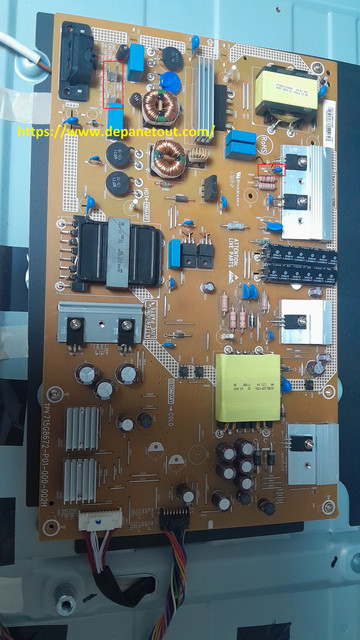 C9817.jpg