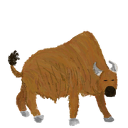 wooly biuhsh