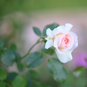 0029