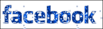snowy-facebook-button.gif