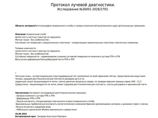 Снимок 2