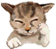 IMG-7551.gif