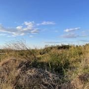 IMG 0413