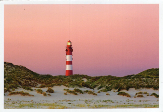 img351.jpg