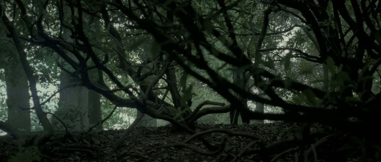 The Awakening Screenshot