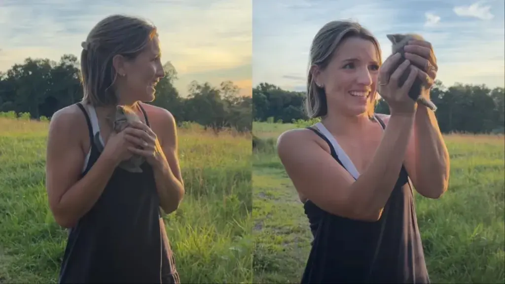 Family Grieves Lost Cat, Finds New Feline Friend