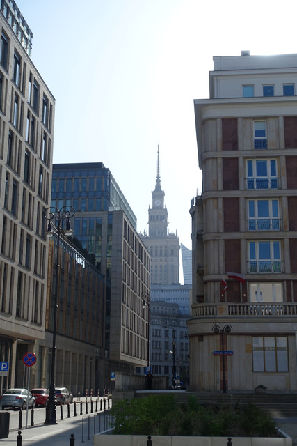 DSC08087.jpg