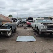 Yard8
