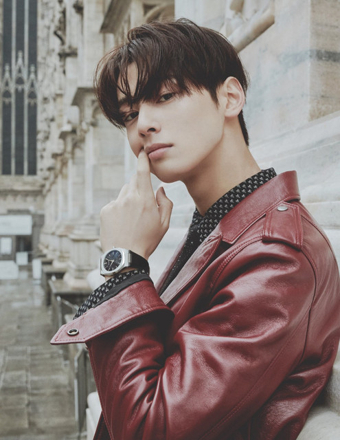 cha eun woo 1081719