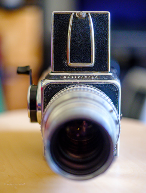 DSF1901