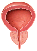 erectile dysfunction after prostatectomy