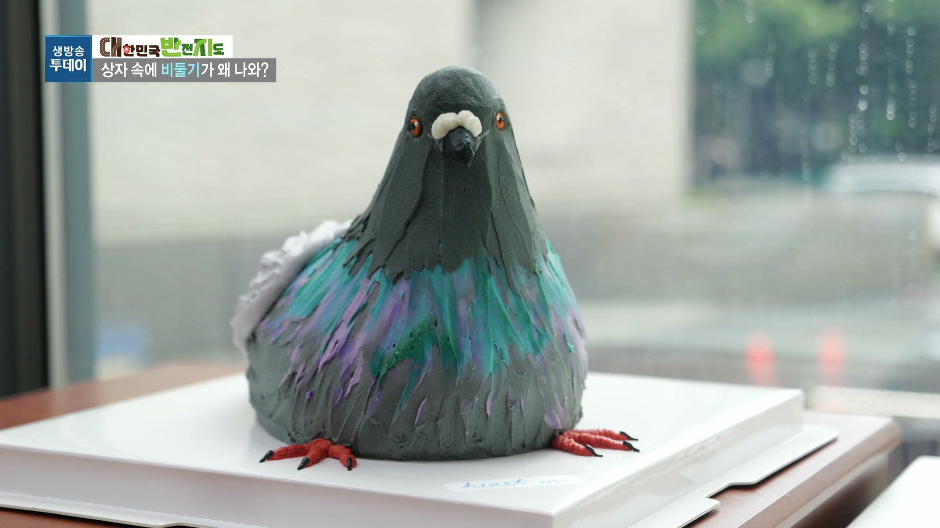 모닝와이드 숨은반전찾기 비둘기케이크 캡처