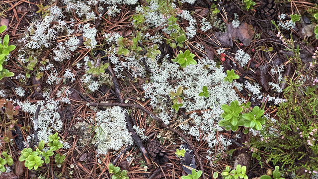 IMG 4644.jpg