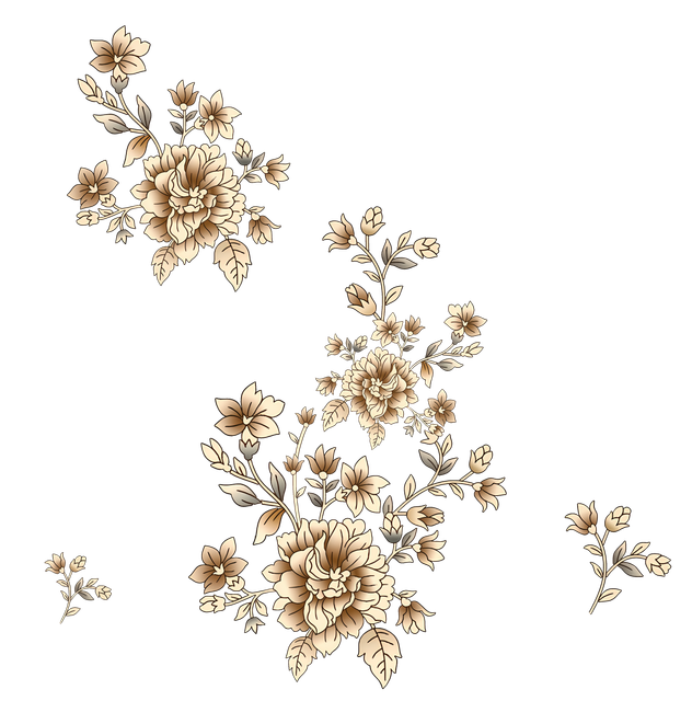 9661ed53124e6a0ce7f5156e7048b0a2.png