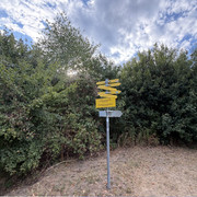 IMG 1326